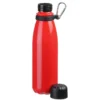 Kingston Aluminum Swiggy Bottle with Carabiner - 20 oz.