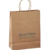 Kraft Paper Brown Shopping Bag - 13 inches x 10 inches