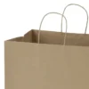 Kraft Paper Brown Shopping Bag - 15 1/2 inches x 14 inches