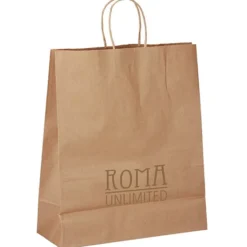 Kraft Paper Brown Shopping Bag - 15 inches x 13 inches