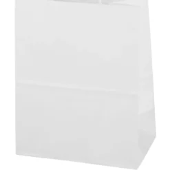 Kraft Paper White Shopping Bag - 10 3/4 inches x 8 inches