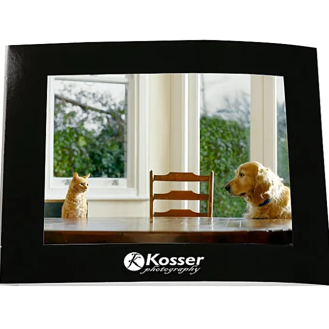 Laminated Photo Frame - 7 inches x 5 inches - Color