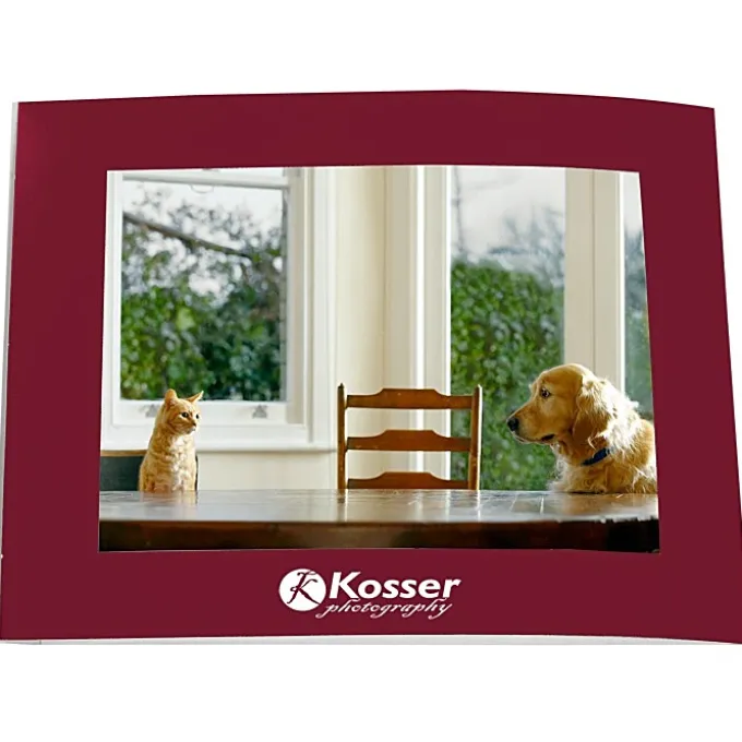 Laminated Photo Frame - 7 inches x 5 inches - Color