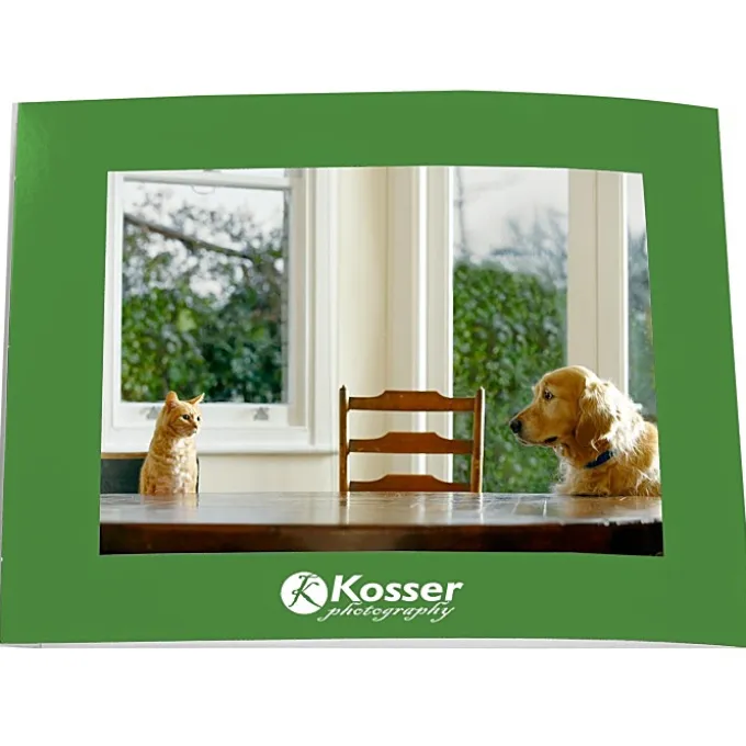Laminated Photo Frame - 7 inches x 5 inches - Color
