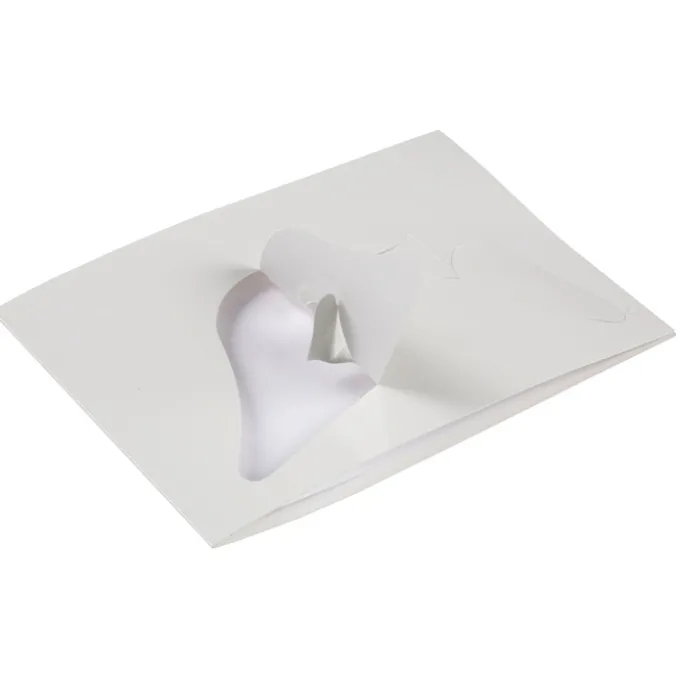 Laminated Photo Frame - 7 inches x 5 inches - Color