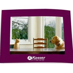 Laminated Photo Frame - 7 inches x 5 inches - Color