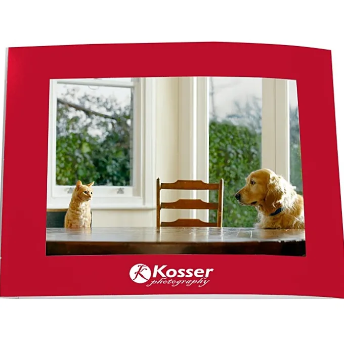 Laminated Photo Frame - 7 inches x 5 inches - Color