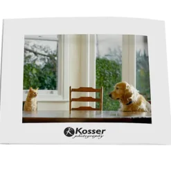 Laminated Photo Frame - 7 inches x 5 inches - White