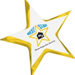 Lapel Pin - Star