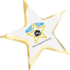 Lapel Pin - Star