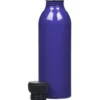 Level Aluminum Bottle - 17 oz.