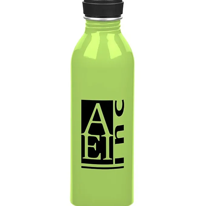 Level Aluminum Bottle - 17 oz.