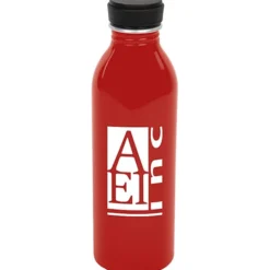 Level Aluminum Bottle - 17 oz.