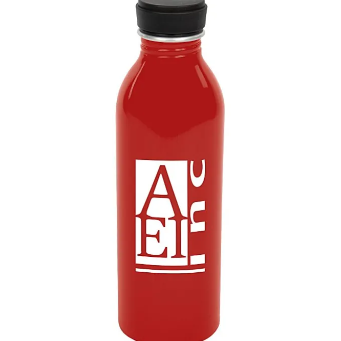 Level Aluminum Bottle - 17 oz.