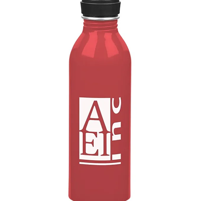 Level Aluminum Bottle - 17 oz.