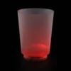 Light-Up Frosted Glass - 11 oz. - Multicolor - 24 hr