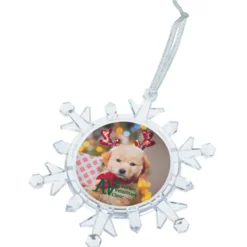 Light-Up Snowflake Photo Ornament