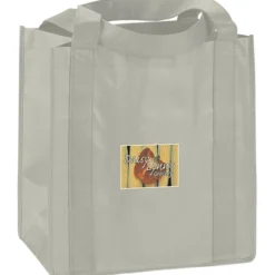 Little Thunder Tote - 13 inches x 12 inches - Full Color