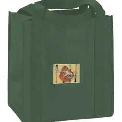 Little Thunder Tote - 13 inches x 12 inches - Full Color