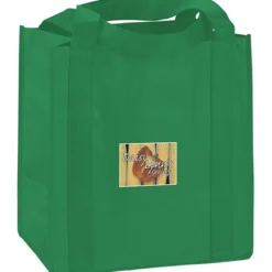 Little Thunder Tote - 13 inches x 12 inches - Full Color
