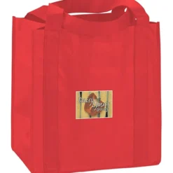 Little Thunder Tote - 13 inches x 12 inches - Full Color