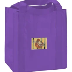 Little Thunder Tote - 13 inches x 12 inches - Full Color