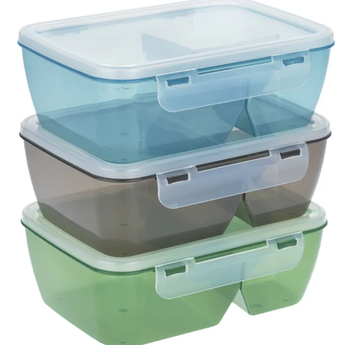 Lunch To Go Food Container - Translucent - Full Color
