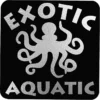 Matte Black Embossed Seal by the Roll - Square - 1-1/2 inches x 1-1/2 inches