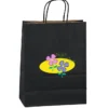 Matte Shopping Bag - 13 inches x 10 inches - Colored - Full Color