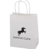 Matte White Shopping Bag - 10-3/4 inches x 8 inches
