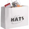 Matte White Shopping Bag - 12 inches x 16 inches