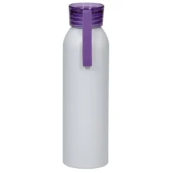 Metis Aluminum Water Bottle - 22 oz