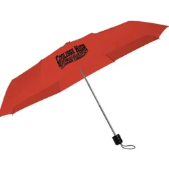 Mini Folding Umbrella - 42-inch Arc