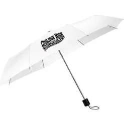 Mini Folding Umbrella - 42-inch Arc