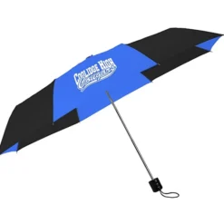 Mini Folding Umbrella - 42-inch Arc