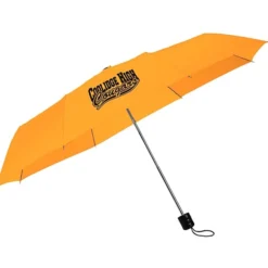 Mini Folding Umbrella - 42-inch Arc