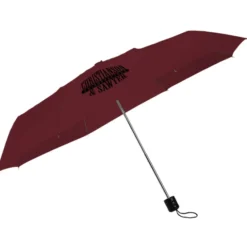 Mini Folding Umbrella - 42-inch Arc - 24 hr