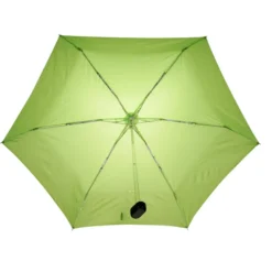 Mini Folding Umbrella with EVA Case - 37-inch Arc