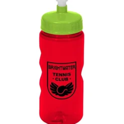 Mini Mountain Bottle - 22 oz