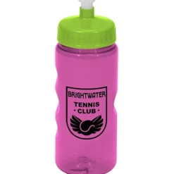 Mini Mountain Bottle - 22 oz