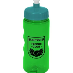 Mini Mountain Bottle - 22 oz