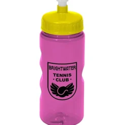 Mini Mountain Bottle - 22 oz