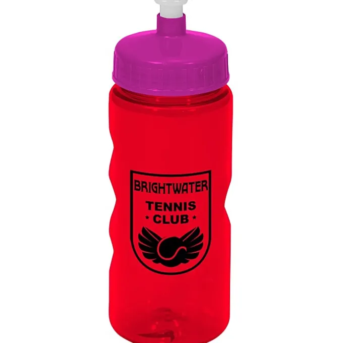 Mini Mountain Bottle - 22 oz
