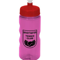 Mini Mountain Bottle - 22 oz