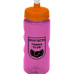 Mini Mountain Bottle - 22 oz