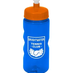 Mini Mountain Bottle - 22 oz