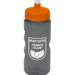 Mini Mountain Bottle - 22 oz