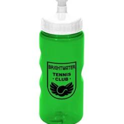 Mini Mountain Bottle - 22 oz