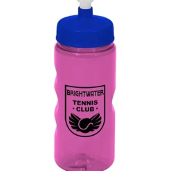 Mini Mountain Bottle - 22 oz