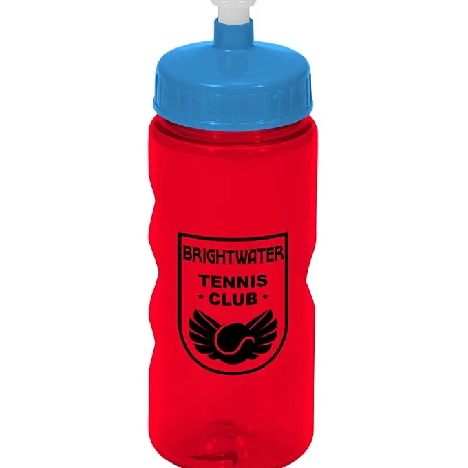 Mini Mountain Bottle - 22 oz